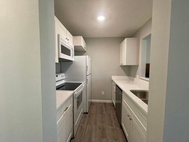 Kitchen - 210 Mt Hope Ct