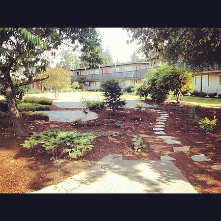 Photo - Sierra Meadows II