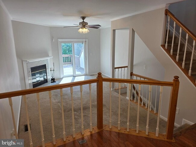 Building Photo - 5831 Norham Dr Rental