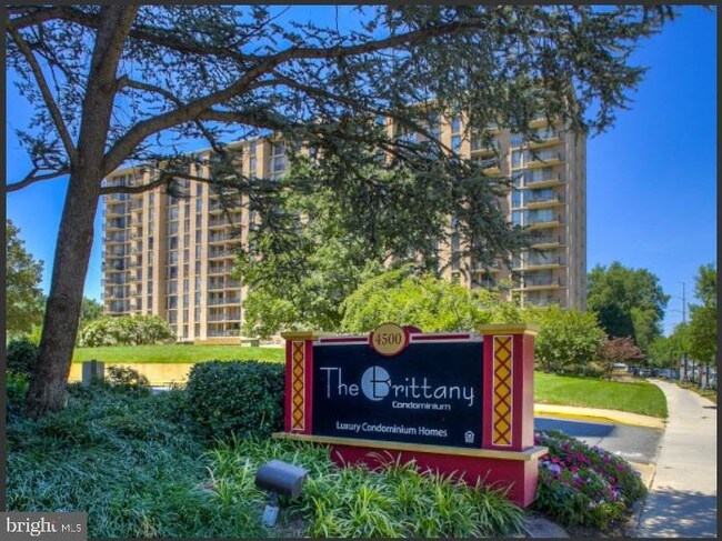 Building Photo - 4500 S Four Mile Run Dr Unit 827 Rental