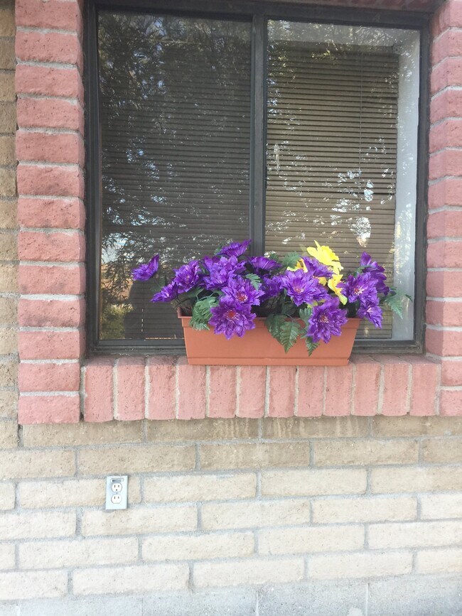 Photo - 1238 Urano Ct Unit 1238 Urano Court  3