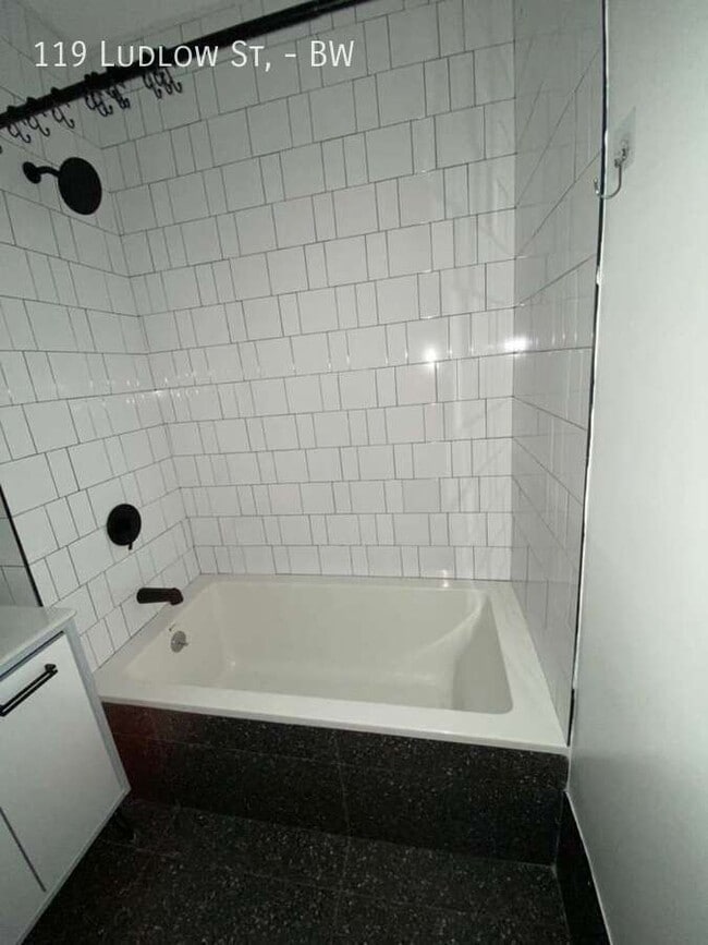 119 Ludlow St Unit BW