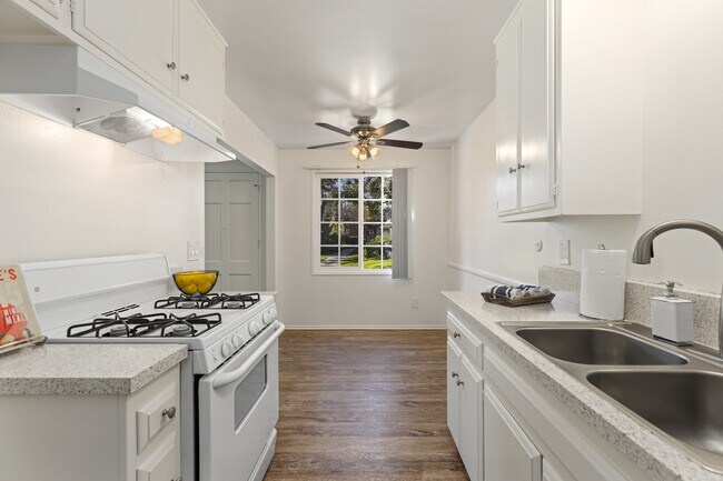 Park Magnolia Apartment Homes