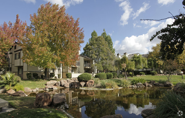 Twin Creeks - Twin Creeks Apartments