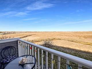 Photo - Make this charming studio with marsh views... Unidad #101