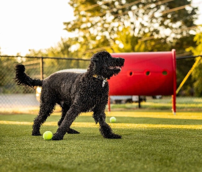 Photo - Veranda Vistas
