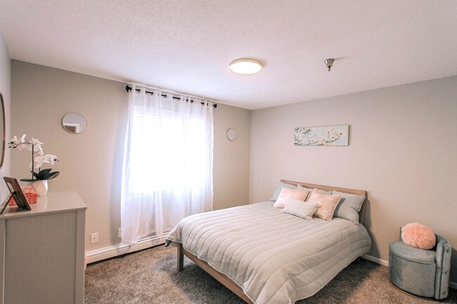 Photo - Lincoln Woods