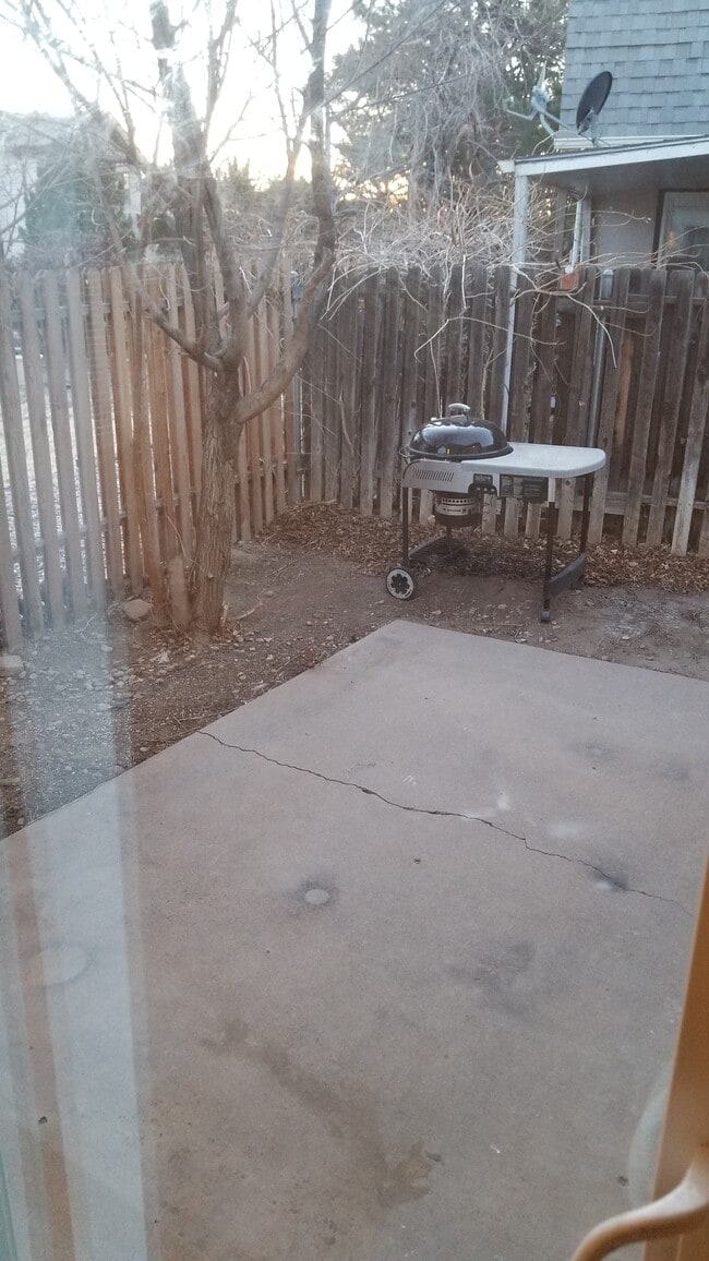 Back yard - 56 Bonnymede Rd