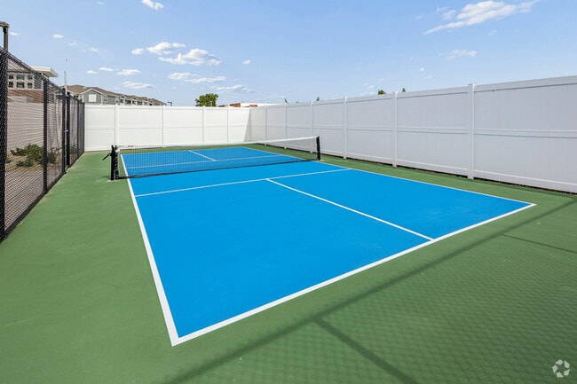Pickleball Court