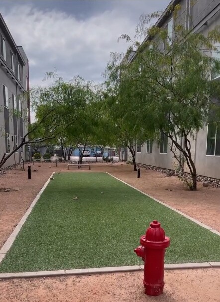 Parque canino cerrado