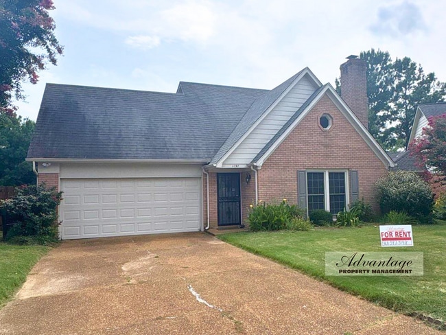 Building Photo - 1197 Scarlet Tanager Ln