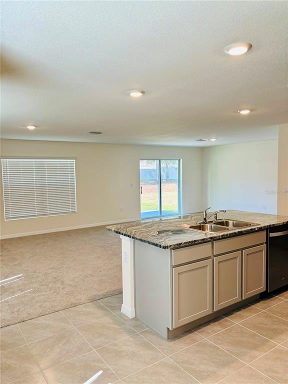 Photo - 13649 Whiskey Daisy Dr