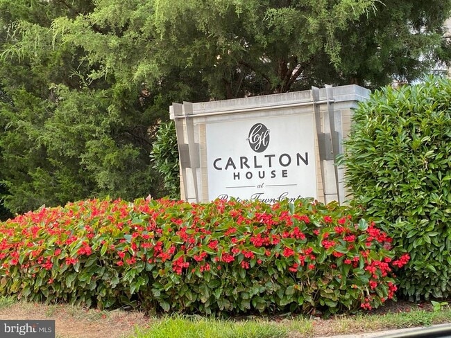 11800 Sunset Hills Rd Unit 313