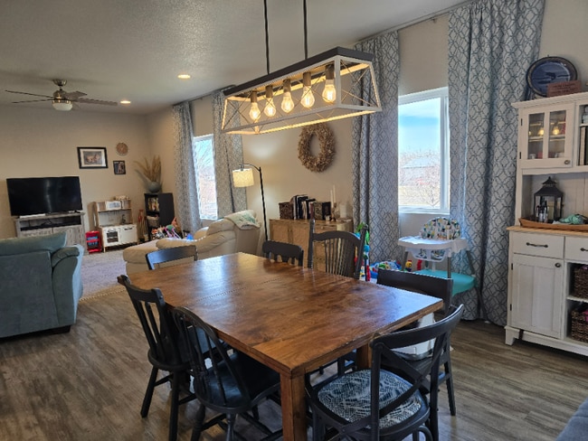 310 Pavo Ct