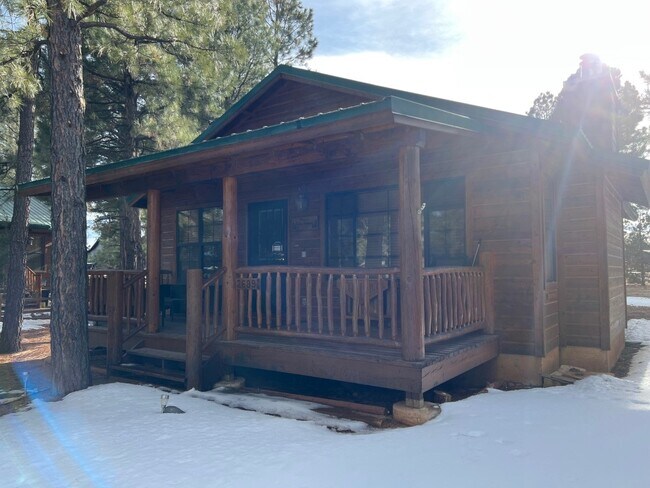 2689 Palomino Trail