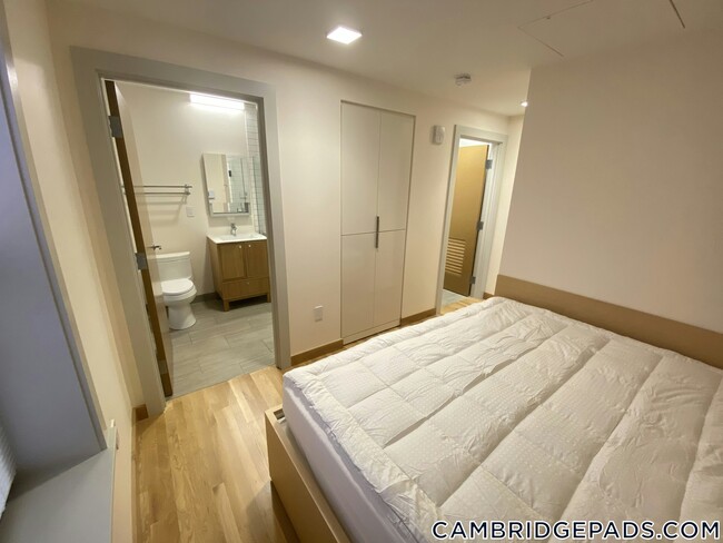 Building Photo - 115 Mt Auburn St Rental