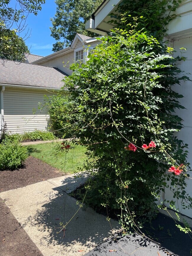 Photo - 2899 Heatherwood Ct