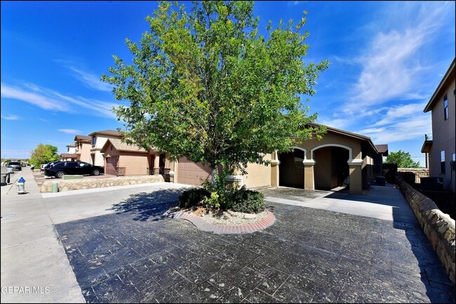 Building Photo - 12569 Wolf Berry Dr