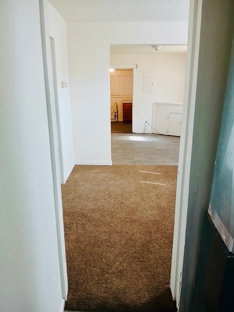 Photo - 20246 Roselawn St