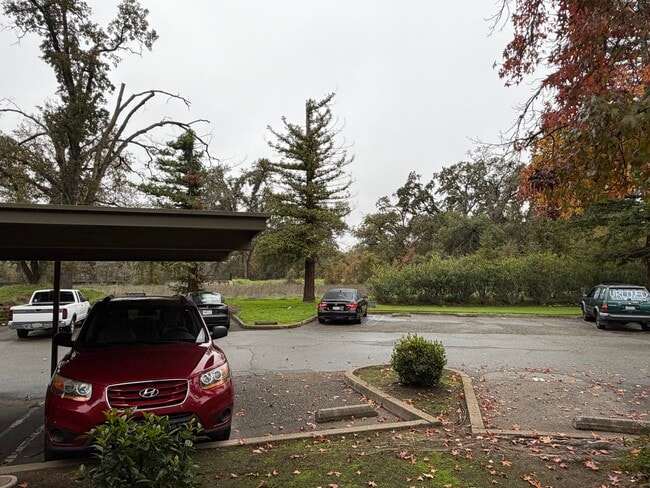 Parking lot with covered space - 720 Sunrise Ave Unit 55