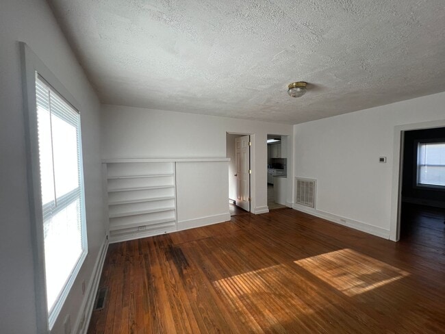 Photo - AVAILABLE TO SHOW!!!