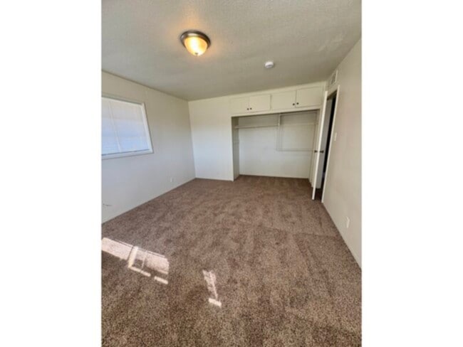 Photo - Old fig charm, lots of room