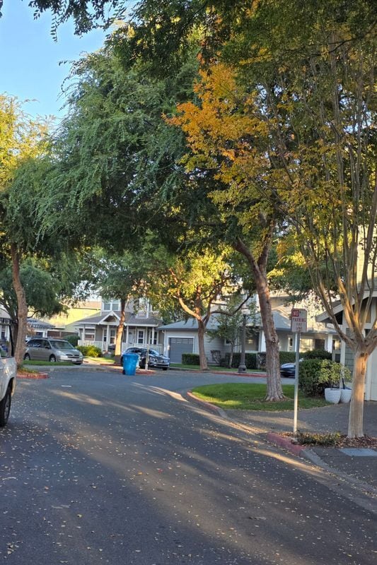 Photo - 426 Matteri Cir