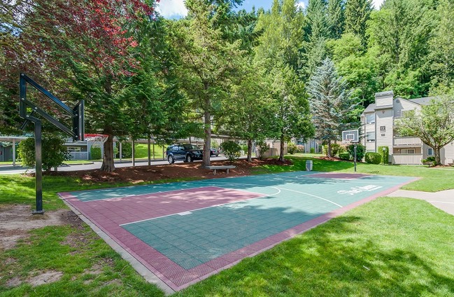 Large Sport Court