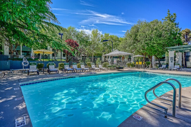 Sparkling Swimming Pool
