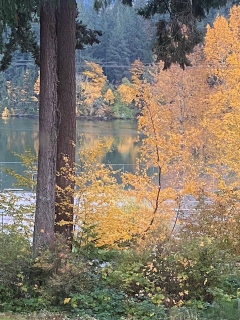 Photo - 4301 Wilkin St Unidad 2 bdr