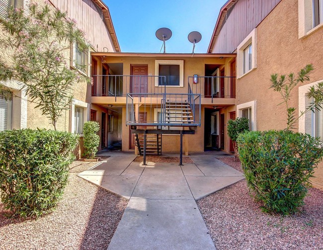 Photo - Palm Vista