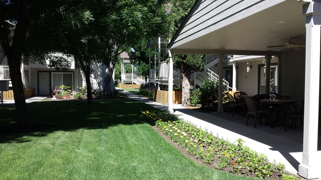 Photo - Conifer Gardens