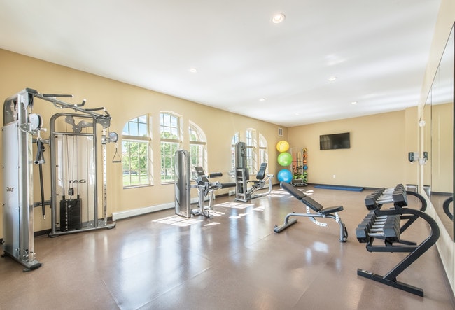 Strength & Stretch Room