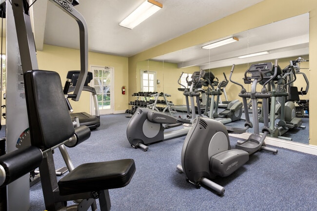 Gimnasio