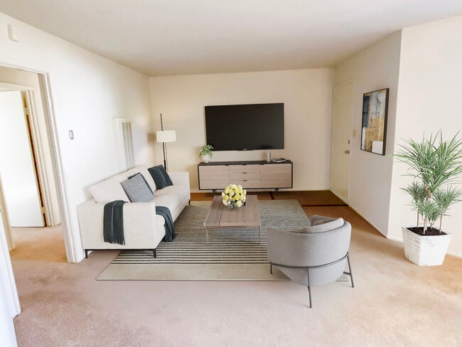 Photo - San Jule Apartments