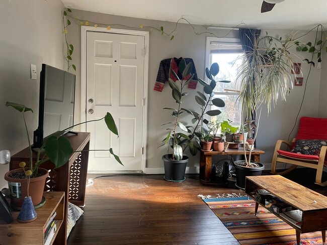 Front room/Living room with great natural light - 520 Commonwealth St