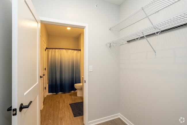 1BR, 1BA - 588SF - Closet