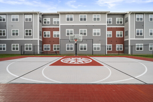 Half Basketball Court
