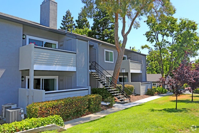 Plum Tree Apartments