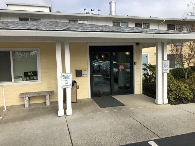 Photo - Catalpa Shade