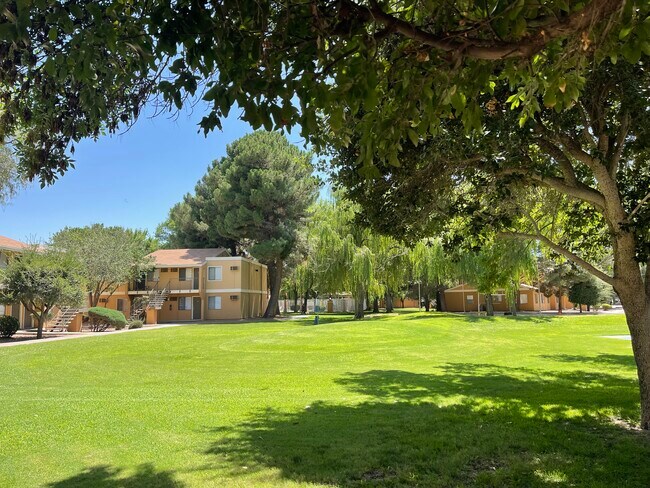 Desert Tree Apartment Homes