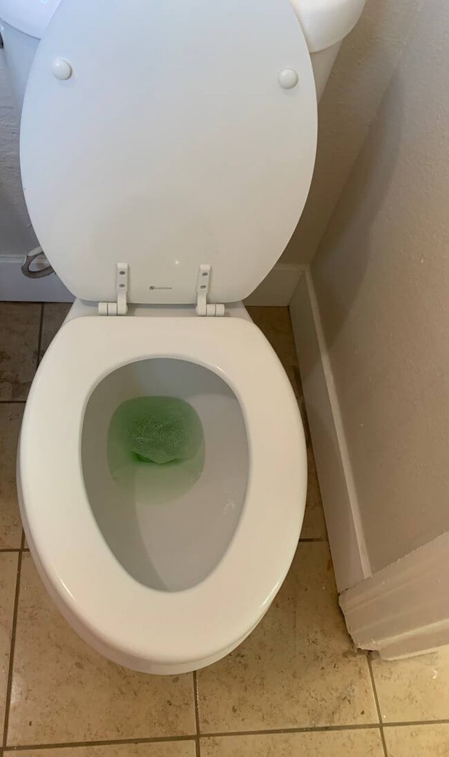 Photo - 319 E San Joaquin Ave