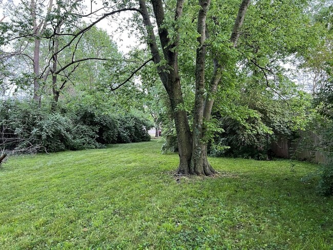 Photo - 6334 Patton Ave