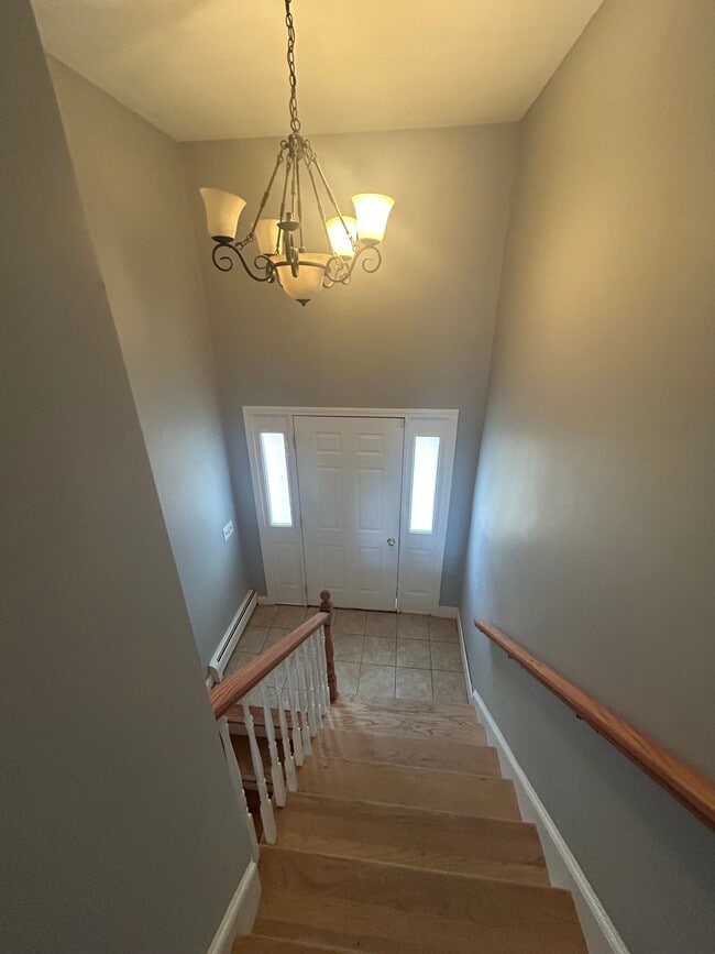 Photo - 36 Taylor St