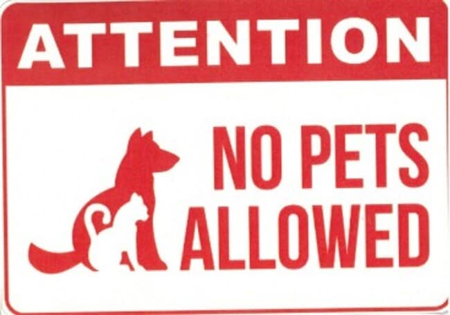 Photo - Remodeled 3 Bedroom home