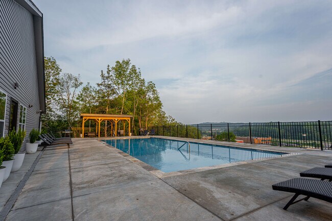 Pool - Storyboard on Stoney Pines