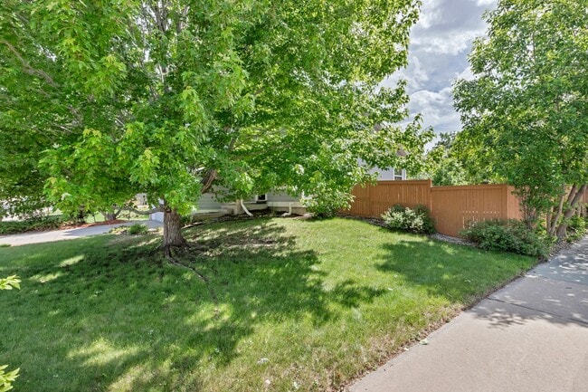 Photo - Spacious Home in Castle Rock