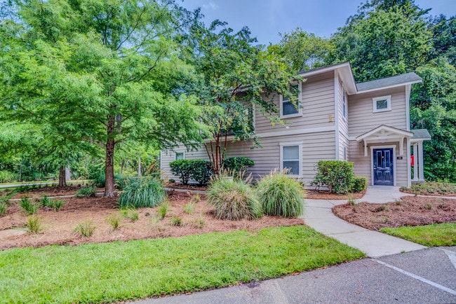 Photo - Forest at Fenwick