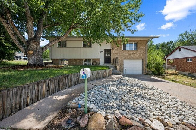Building Photo - Spacious 4BR House in Castle Rock