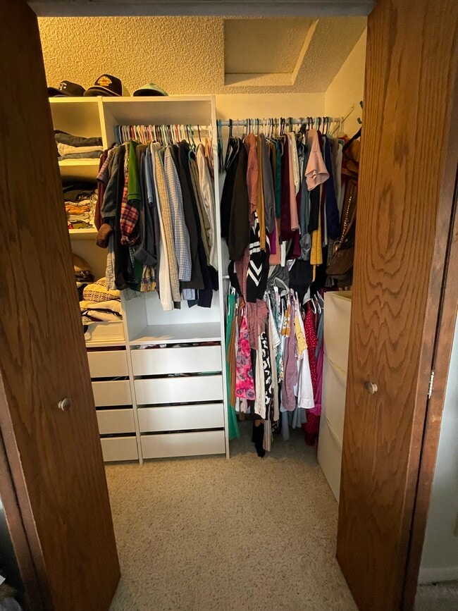 Vestidor principal - 4608 Xerxes Ave S
